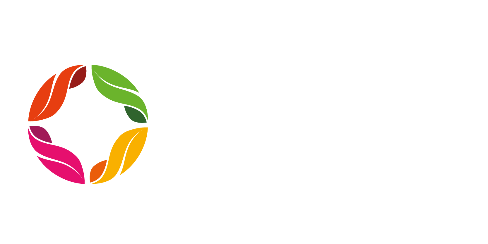Sydney Markets White
